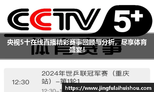 央视5十在线直播精彩赛事回顾与分析，尽享体育盛宴！